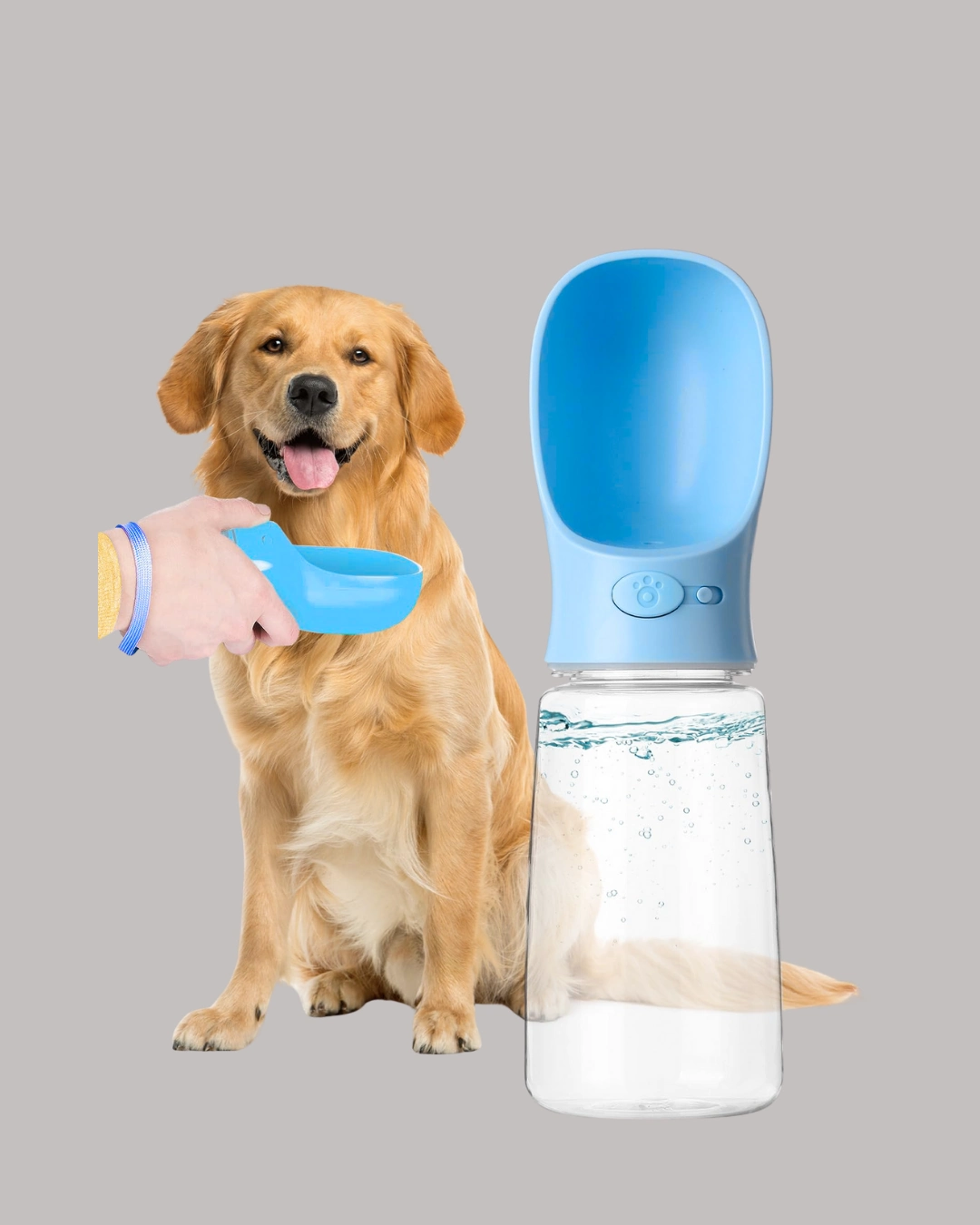 Sızdırma Önleyici Silikon Halkalı Pet Su Dispenseri Gezi Seyahat İçin ( Lisinya )