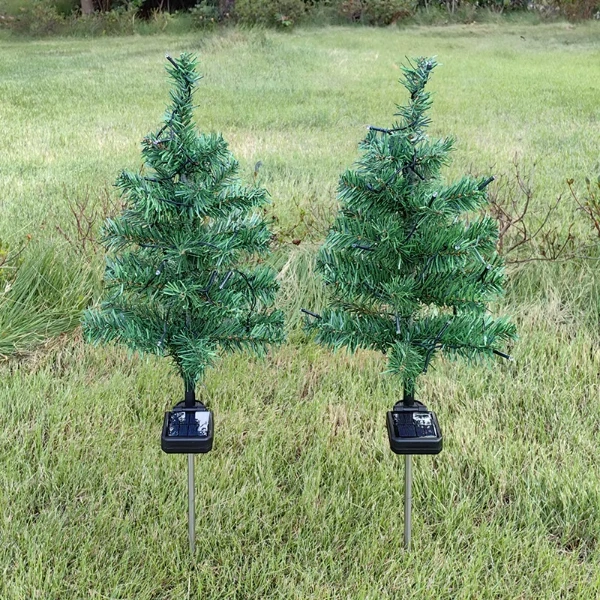 Solar Dekoratif Çam Ağacı ( Lisinya ) Solar Dekoratif Çam Ağacı ( Lisinya )