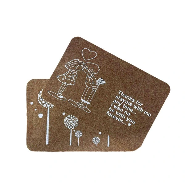 Süper Emici Kapı Paspası ( Lisinya ) Süper Emici Kapı Paspası ( Lisinya )