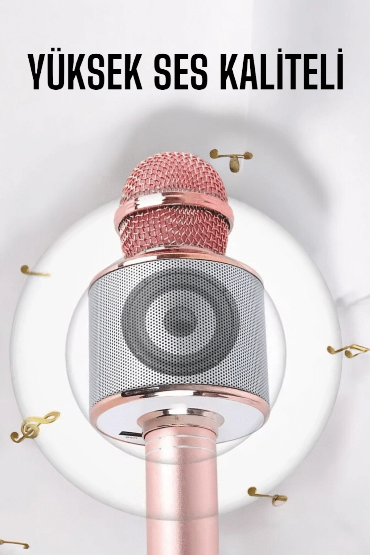 Taşınabilir Bluetooth Karaoke Mikrofon: Hafıza Kart Girişli, Etkileyici Performans ( Lisinya ) Taşınabilir Bluetooth Karaoke Mikrofon: Hafıza Kart Girişli, Etkileyici Performans ( Lisinya )