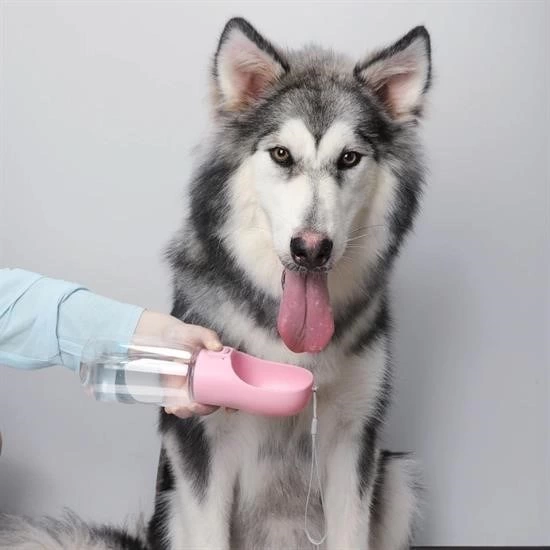 Taşınabilir Evcil Hayvan Suluğu Seyahat Kabı Kilitlenebilen Su Sızdırmaz Kap 350 Ml ( Lisinya ) Taşınabilir Evcil Hayvan Suluğu Seyahat Kabı Kilitlenebilen Su Sızdırmaz Kap 350 Ml ( Lisinya )