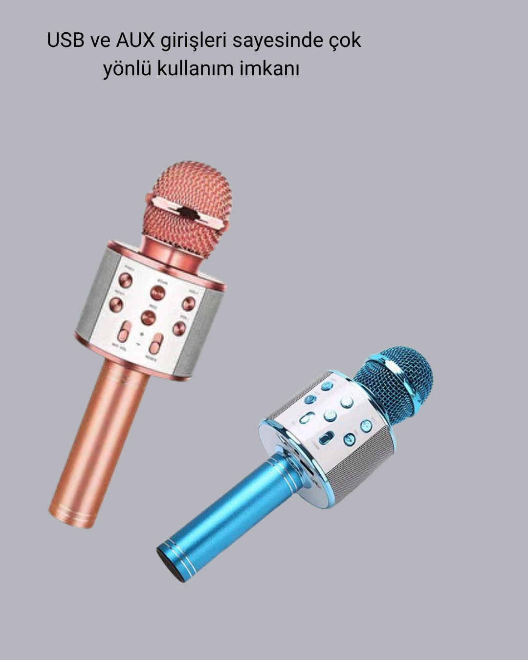 Taşınabilir Karaoke Mikrofon – Bluetooth, Usb Ve Aux Girişli ( Lisinya )