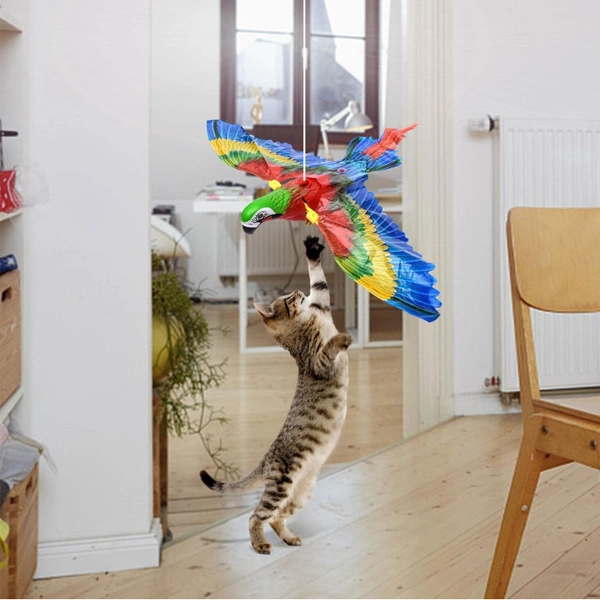 Uçan Papağan Kedi Oyuncağı ( Lisinya ) Uçan Papağan Kedi Oyuncağı ( Lisinya )