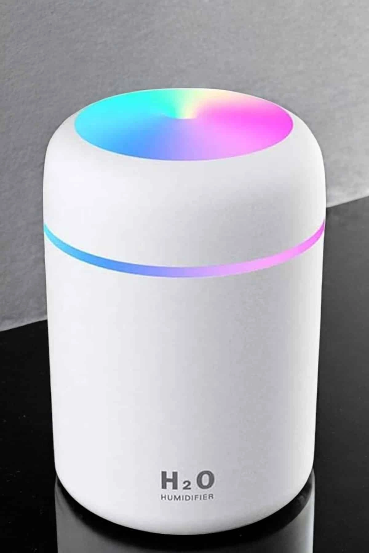 Ultrosonik Buharlı Hava Temizleyici Hava Nemlendirici Taşınabilir ( Lisinya )