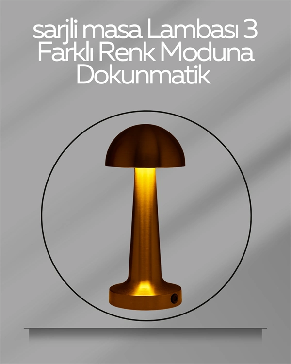 Usb Şarjlı Dokunmatik Led Masa Lambası – 3 Renk Modu & Dimmer ( Lisinya ) Usb Şarjlı Dokunmatik Led Masa Lambası – 3 Renk Modu & Dimmer ( Lisinya )
