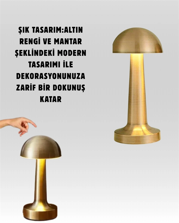 Usb Şarjlı Dokunmatik Led Masa Lambası – 3 Renk Modu & Dimmer ( Lisinya )