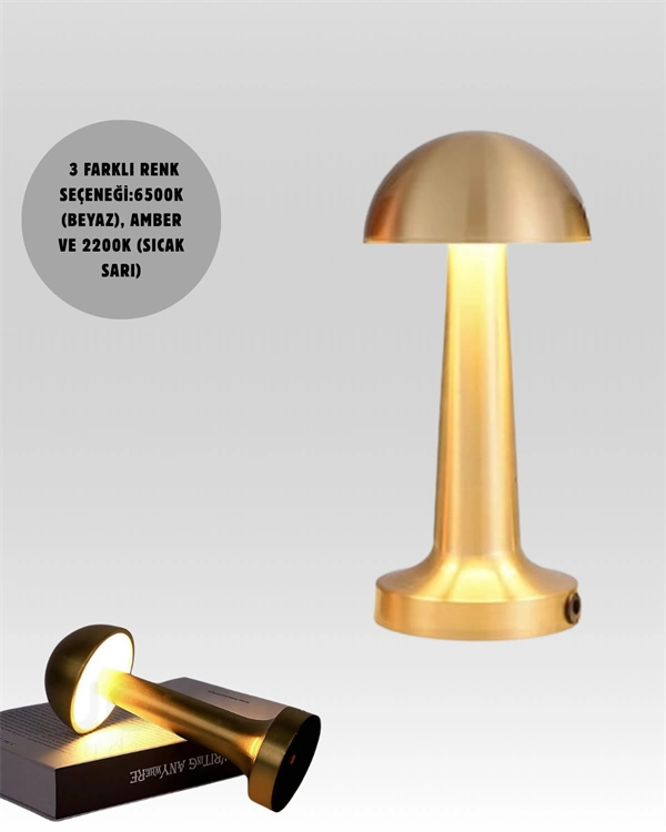 Usb Şarjlı Dokunmatik Led Masa Lambası – 3 Renk Modu & Dimmer ( Lisinya )