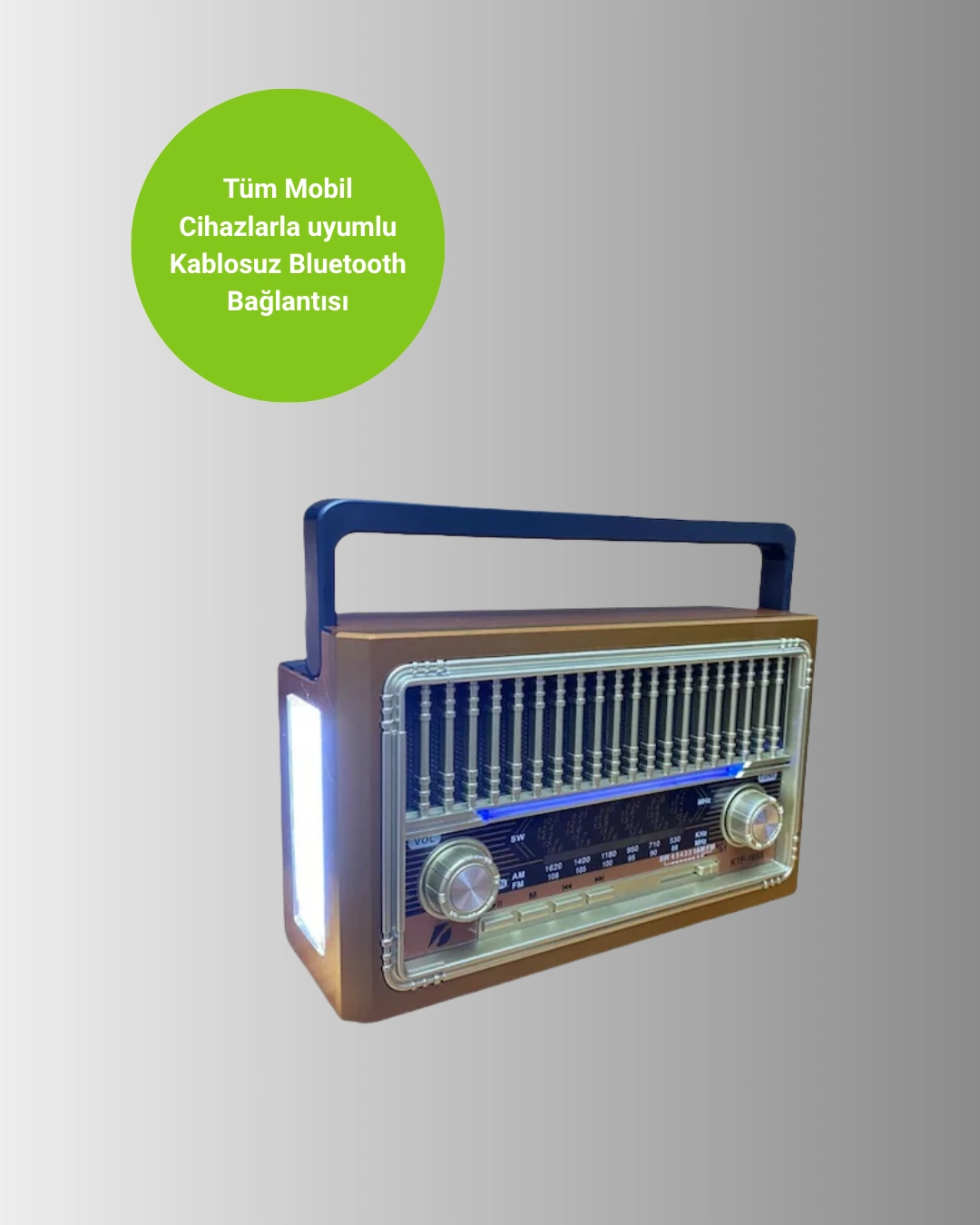 Usb Ve Hafıza Kart Girişli Radyo Hoparlör ( Lisinya )