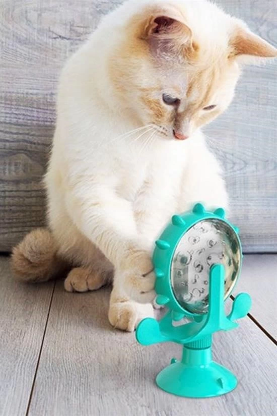 ® Vantuzlu Zilli İnteraktif Dönebilen Mama Kaplı Renkli Eğlenceli Eğitici Kedi Oyuncağı ( Lisinya ) ® Vantuzlu Zilli İnteraktif Dönebilen Mama Kaplı Renkli Eğlenceli Eğitici Kedi Oyuncağı ( Lisinya )