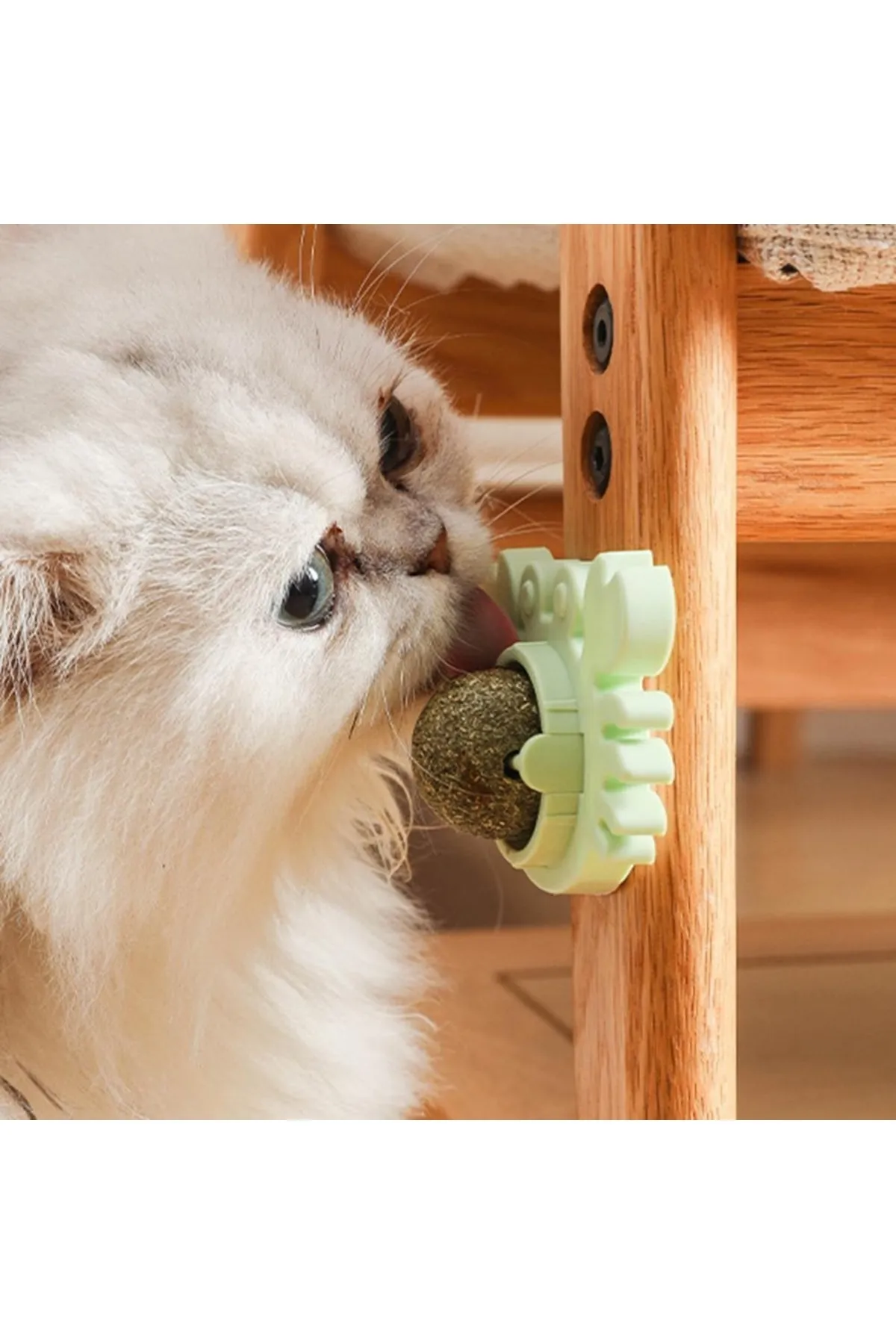 Yengeç Kedi Otu Oyun Topu ( Lisinya ) Yengeç Kedi Otu Oyun Topu ( Lisinya )