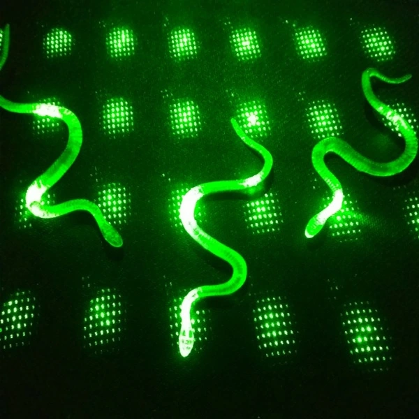 Yılan Kırkayak Şaka Oyuncağı 36 Adet ( Lisinya ) Yılan Kırkayak Şaka Oyuncağı 36 Adet ( Lisinya )