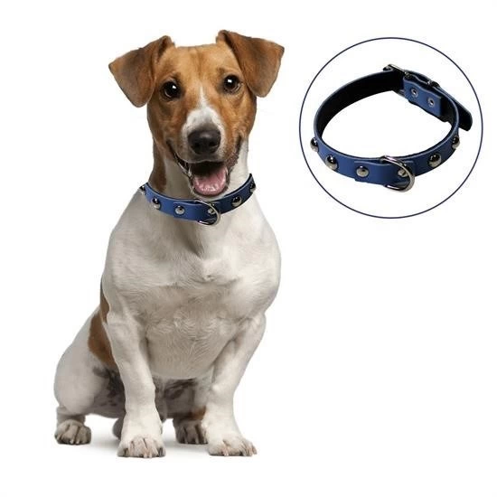 Yumuşak Dokulu Deri Köpek Gezdirme Boyun Tasması (large) ( Lisinya ) Yumuşak Dokulu Deri Köpek Gezdirme Boyun Tasması (large) ( Lisinya )