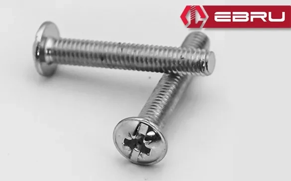 Yuvarlak Yıldız Başlı Rysb Kulp Vidası, Civata M4x25 - 50 Adet ( Lisinya )