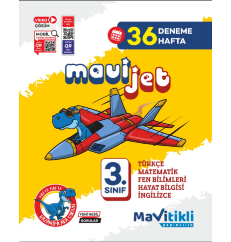 3.SINIF MAVİJET