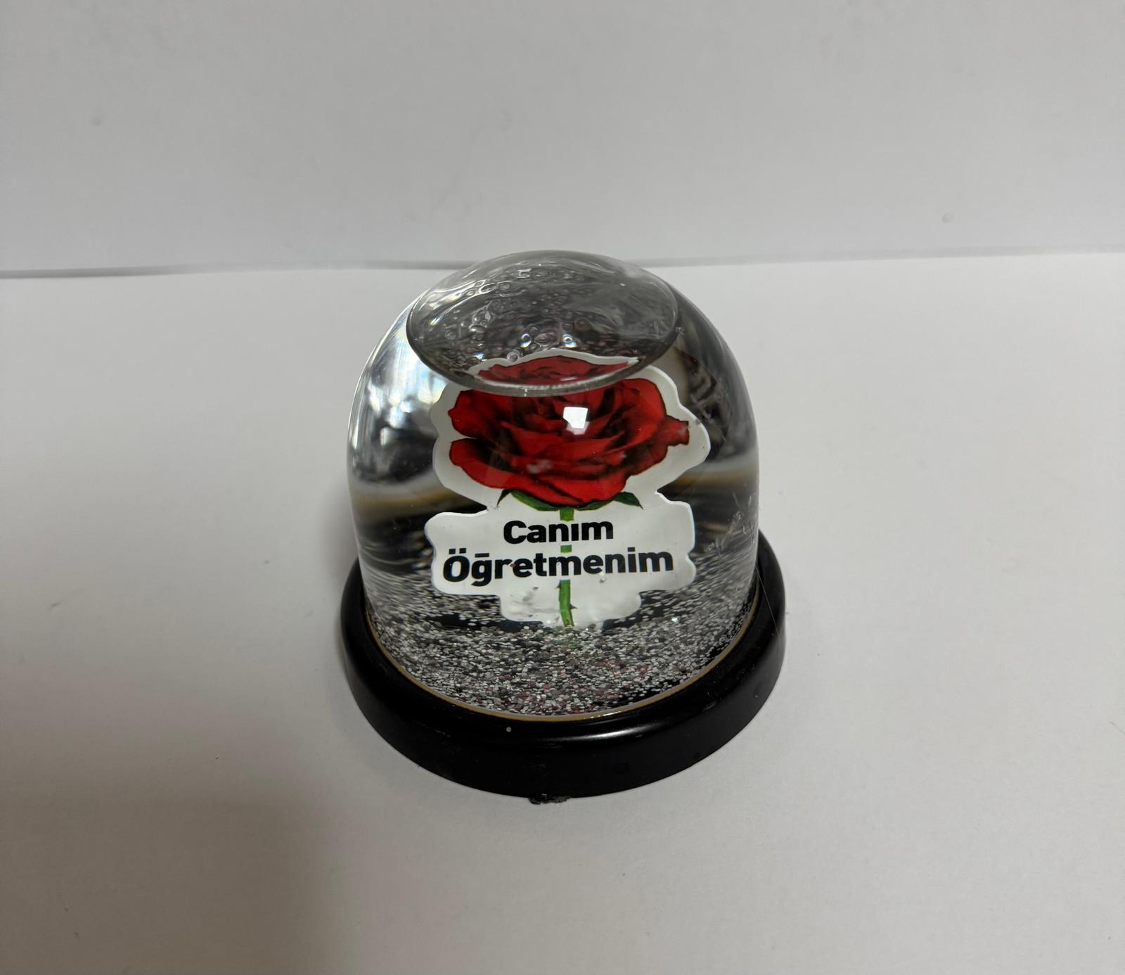 Öğretmenler Gününe Küre