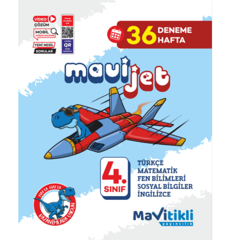 4.SINIF MAVİJET