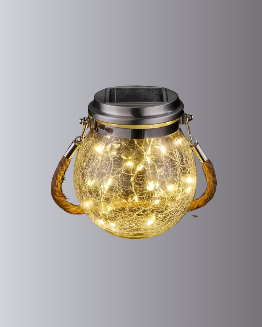 3400 PRİZ - Lisinya