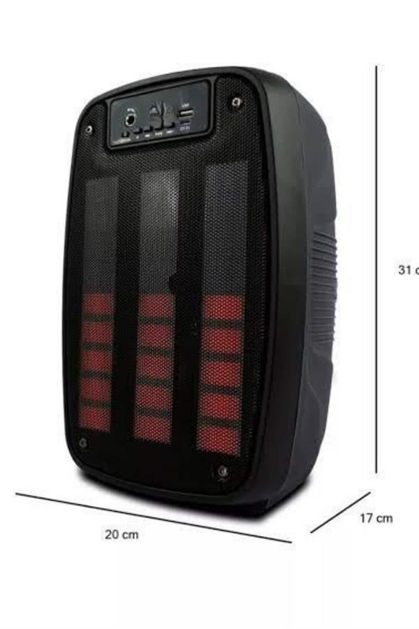 Taşınabilir 6.5 inç LED Bluetooth Kareoke Hoparlör RGB Işıklı Radyolu - Lisinya