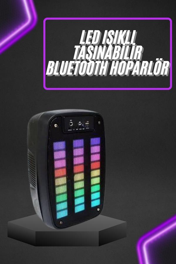 Taşınabilir 6.5 inç LED Bluetooth Kareoke Hoparlör RGB Işıklı Radyolu - Lisinya