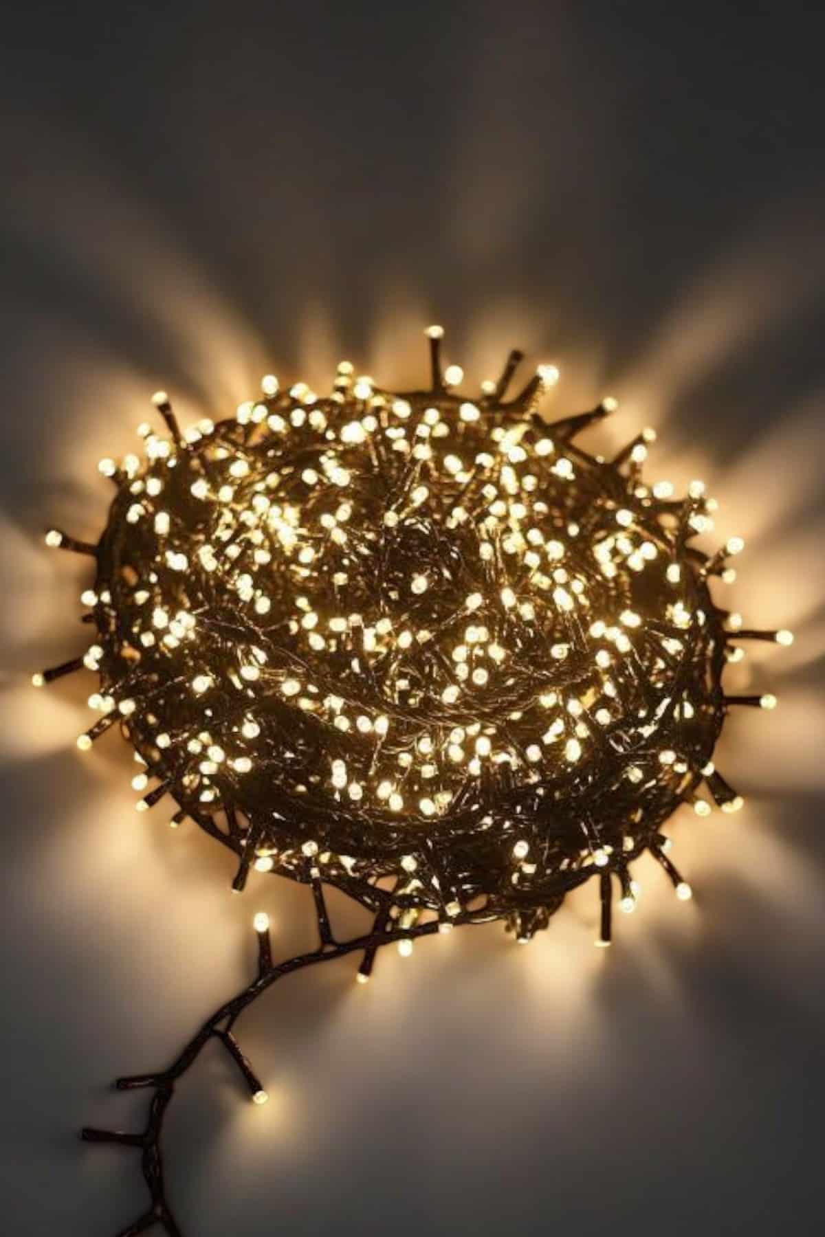 10 Metre Gün Işığı Led Işık Hafif ve Taşınabilir Özel Günler İçin - Lisinya