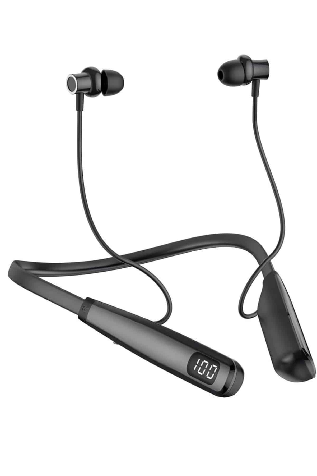 100 SAAT  KULAKLİK - Lisinya