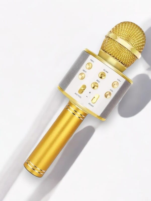 KAREOKE  MIKROFON - Lisinya