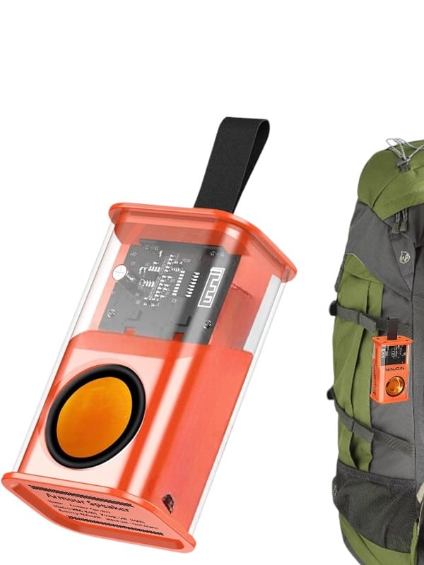 D11 speaker - Lisinya