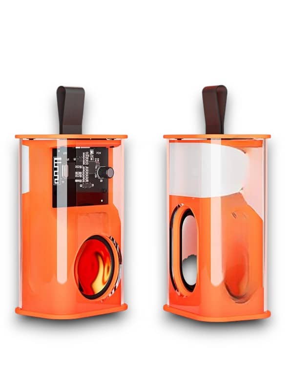 D11 speaker - Lisinya