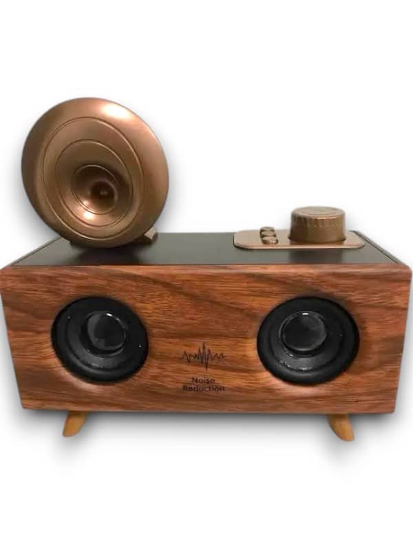 B6 SPEAKER HOPARLÖR - Lisinya