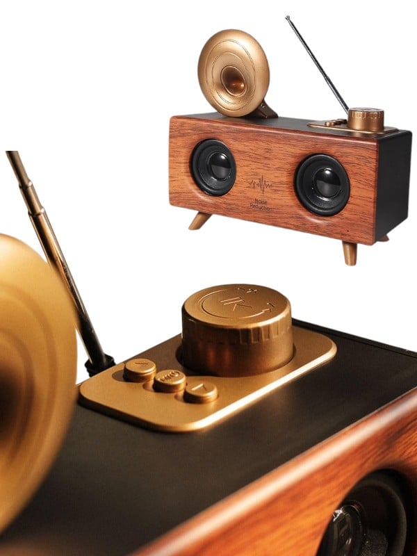 B6 SPEAKER HOPARLÖR - Lisinya