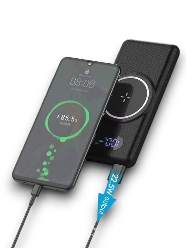 PW10 POWERBANK TEMASSIZ - Lisinya