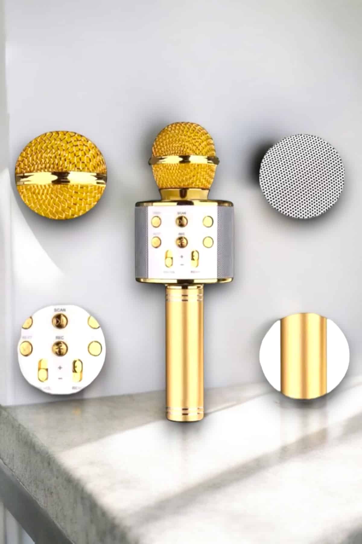 Taşınabilir Bluetooth Karaoke Mikrofon: Hafıza Kart Girişli, Etkileyici Performans - Lisinya