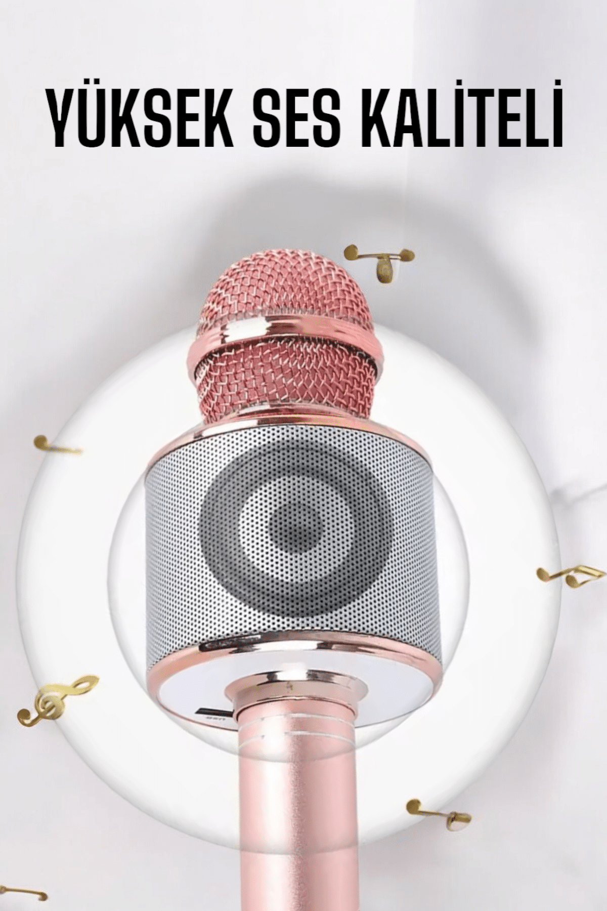 Taşınabilir Bluetooth Karaoke Mikrofon: Hafıza Kart Girişli, Etkileyici Performans - Lisinya