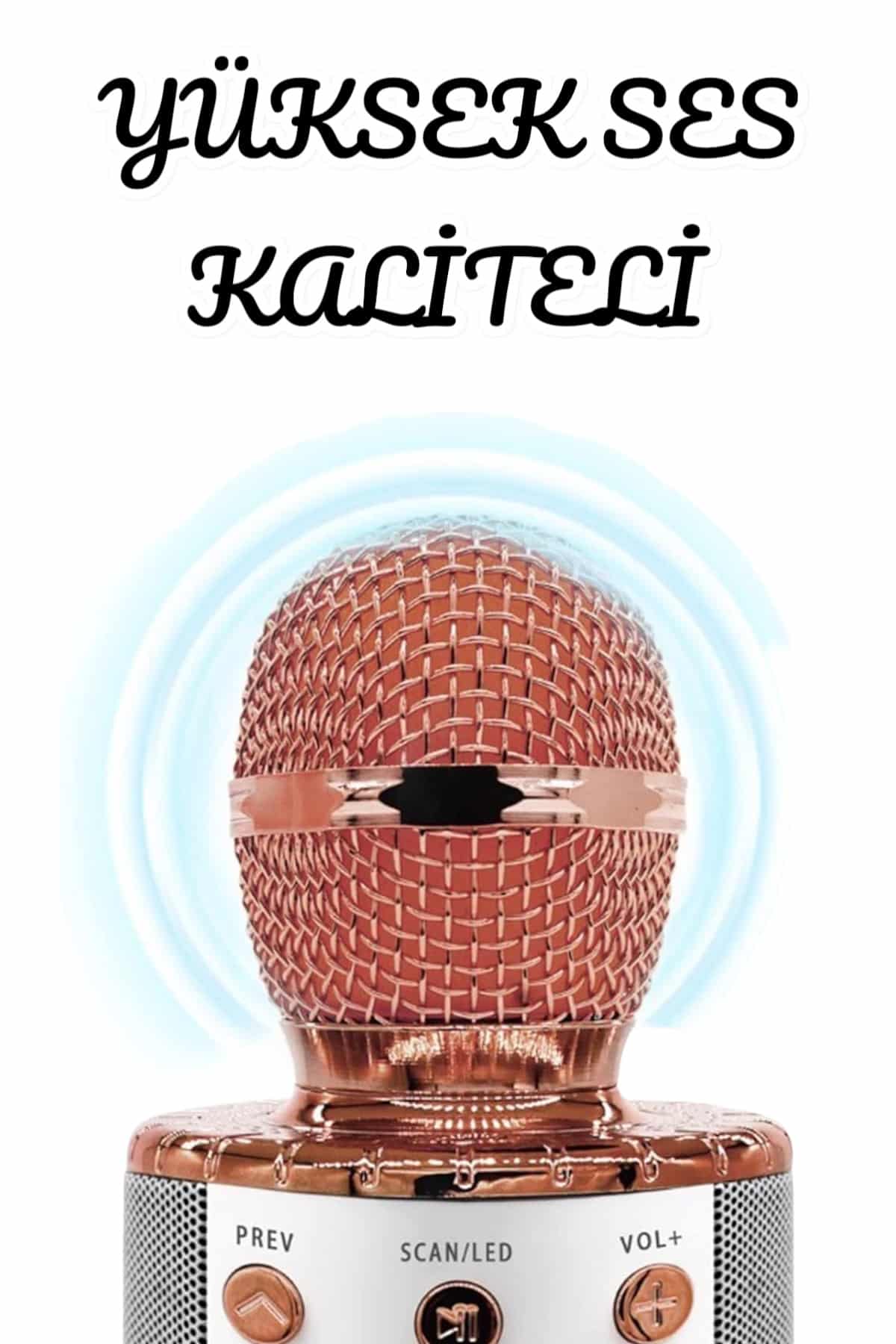 Şarjlı ve Uzun Pil Ömürlü Karaoke Mikrofon USB Bellek Destekli, Profesyonel Ses - Lisinya