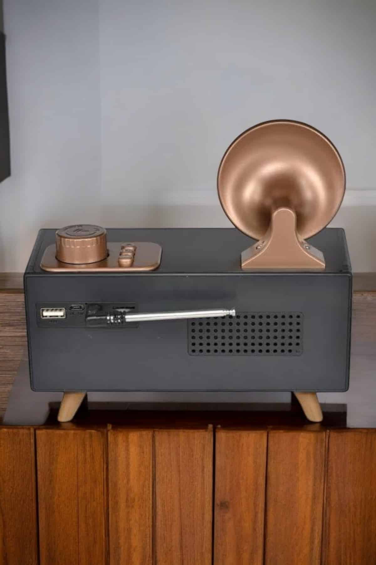 Nostaljik Görünümlü Bluetooth Bağlantılı Speaker - Lisinya