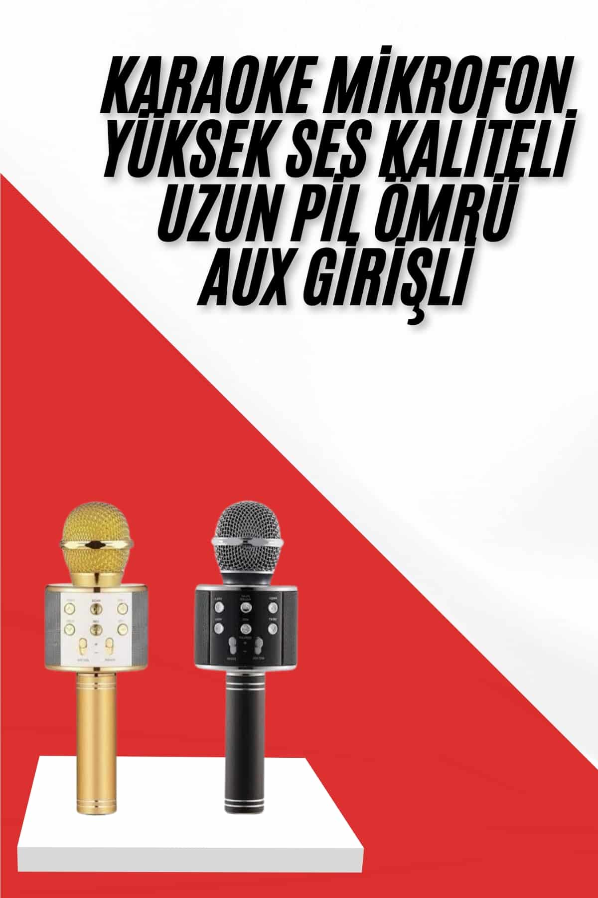 Karaoke Mikrofon Dahili Hoparlörlü Sd-usb-aux Girişli Bluetooth Hoparlör - Lisinya