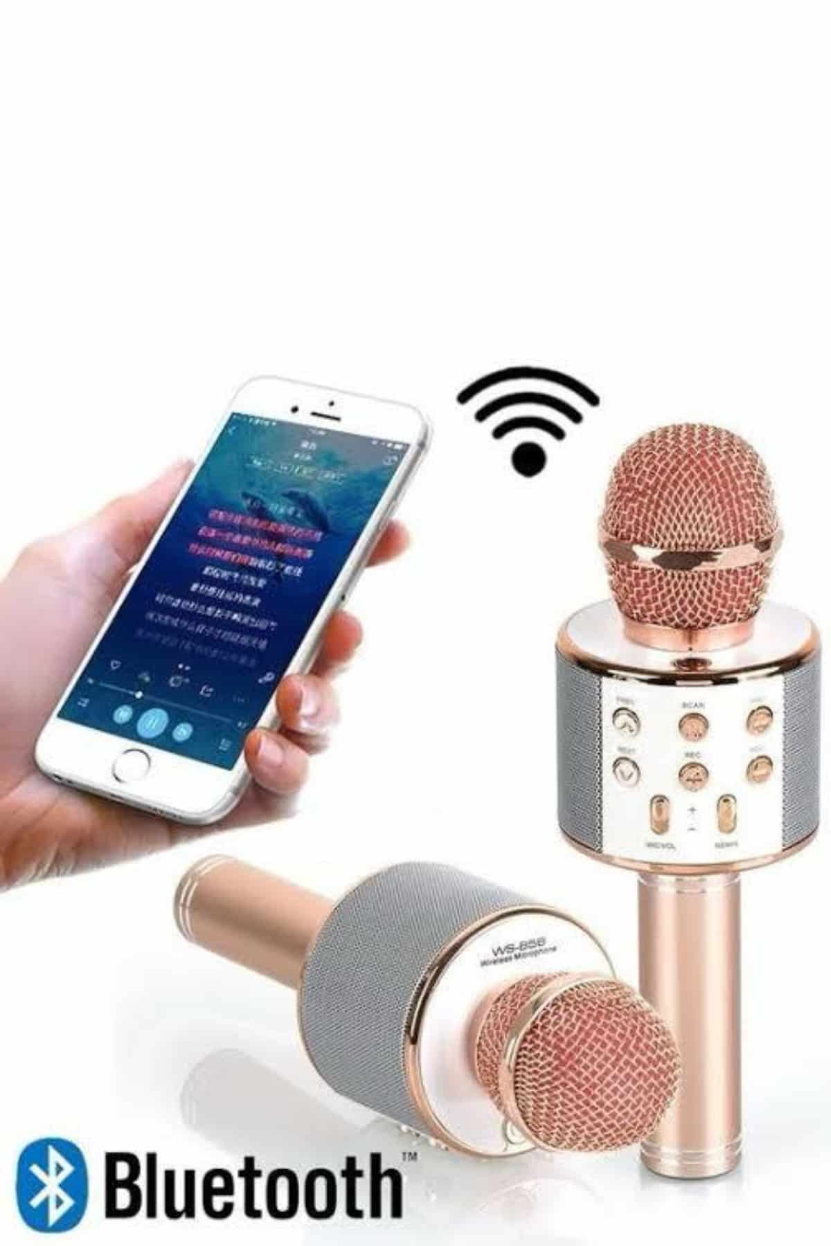 Karaoke Mikrofon Dahili Hoparlörlü Sd-usb-aux Girişli Bluetooth Hoparlör - Lisinya