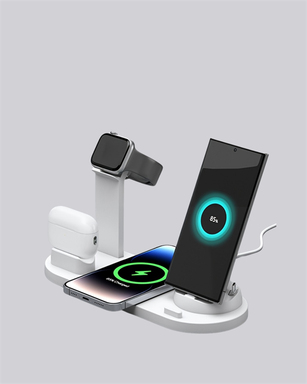 ÇOKLU ŞARJ STANDI - Lisinya