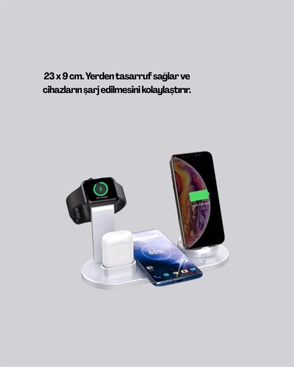 ÇOKLU ŞARJ STANDI - Lisinya