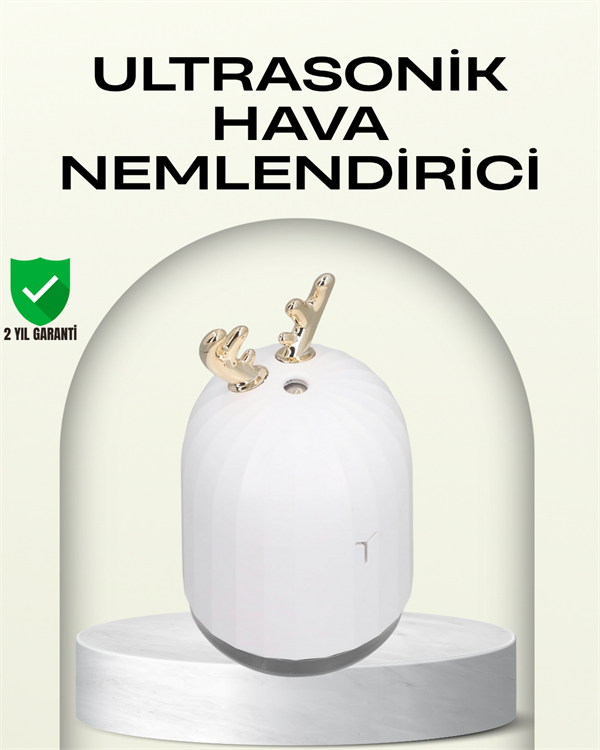 ABS+PP Malzemeli Taşınabilir 220 ml USB Mist Nemlendirici - Lisinya