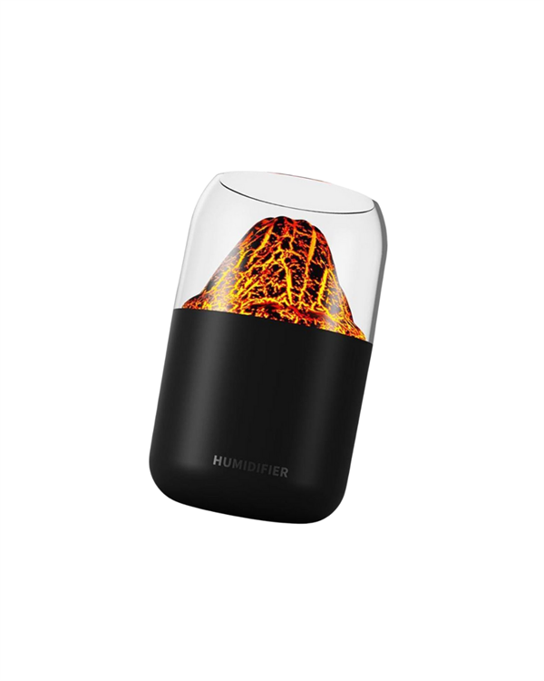 HAVA NEMLENDİRİCİ - Lisinya