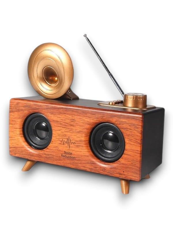 B6 SPEAKER HOPARLÖR - Lisinya