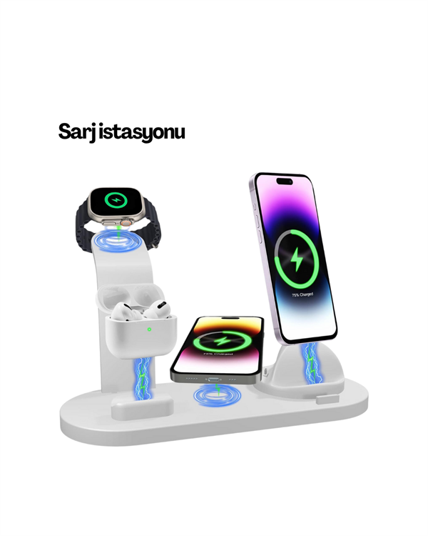 ÇOKLU ŞARJ STANDI - Lisinya