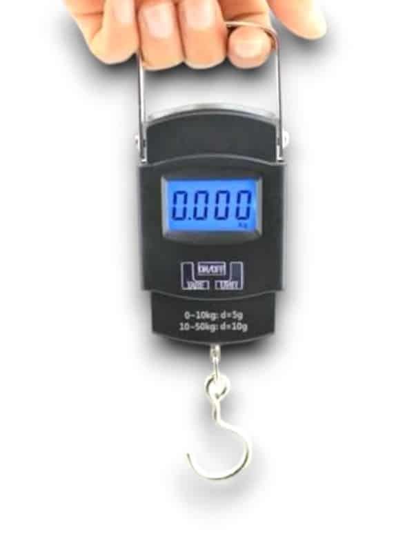 EL KANTARI 50KG - Lisinya