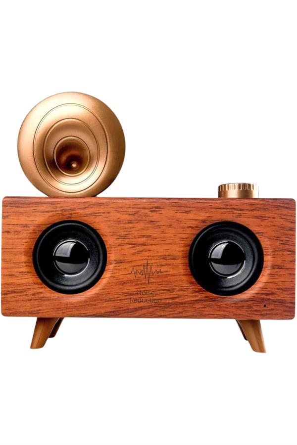 Gramafon Nostaljik Radyo Yüksek Ses Kalitesi USB TF Kart Aux - Lisinya