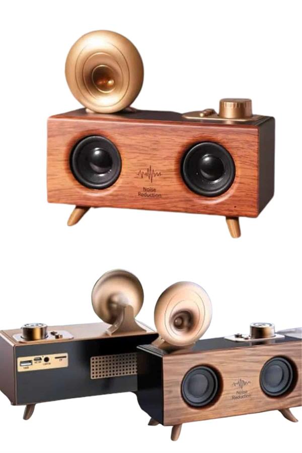 Gramafon Nostaljik Radyo Yüksek Ses Kalitesi USB TF Kart Aux - Lisinya