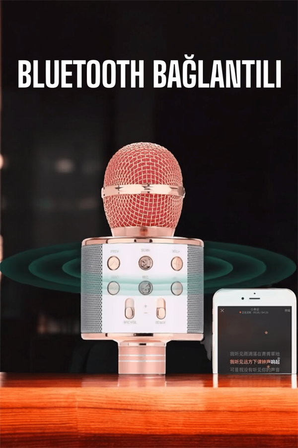 Kablosuz Bluetooth Karaoke Mikrofon USB ve AUX Girişli, Yüksek Ses Kalitesi - Lisinya Kablosuz Bluetooth Karaoke Mikrofon USB ve AUX Girişli, Yüksek Ses Kalitesi - Lisinya