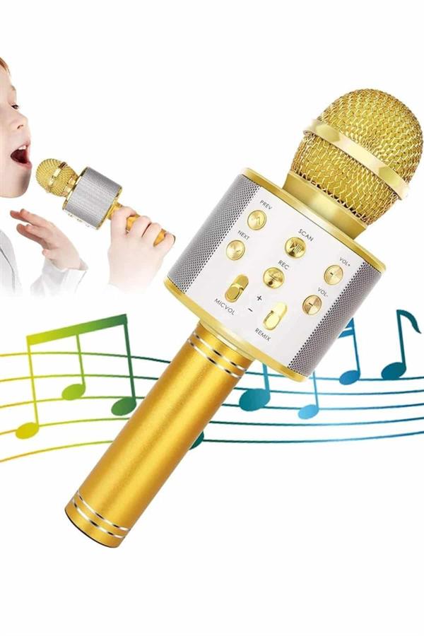 Karaoke Mikrofon Dahili Hoparlörlü Sd-usb-aux Girişli Bluetooth Hoparlör - Lisinya