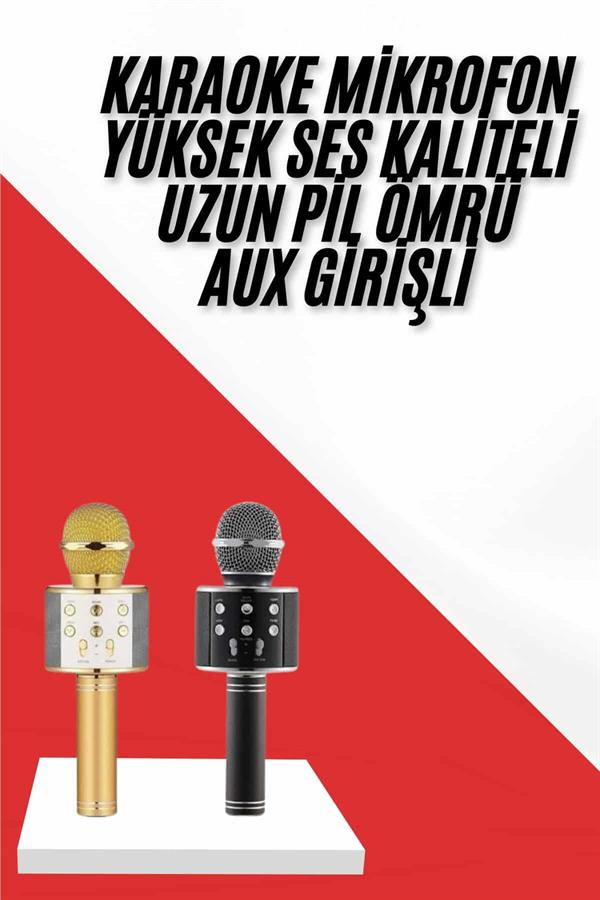 Karaoke Mikrofon Dahili Hoparlörlü Sd-usb-aux Girişli Bluetooth Hoparlör - Lisinya
