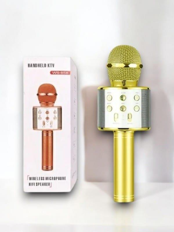KAREOKE  MIKROFON - Lisinya